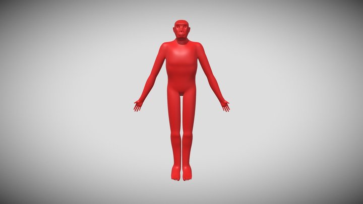 Turkana Boy (Homo erectus) - A-Pose 3D Model