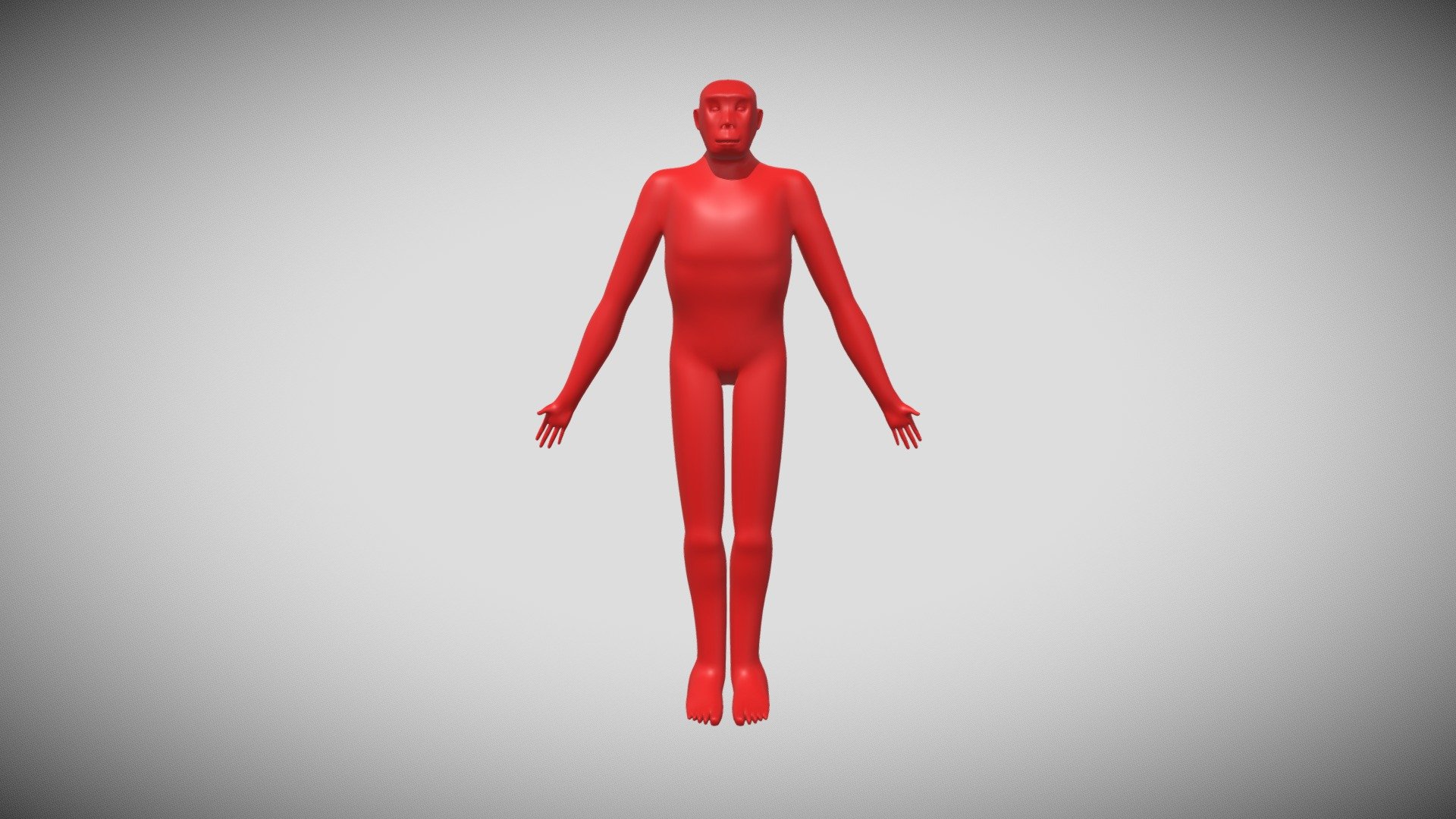 Turkana Boy (Homo erectus) - A-Pose