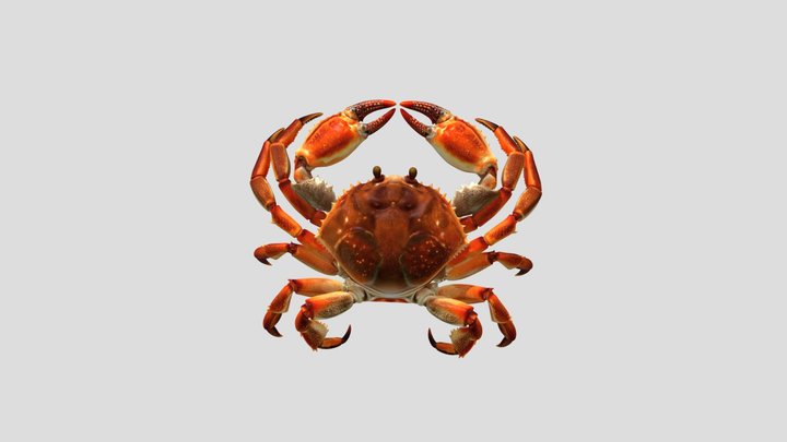 Carb 3d model – Modello 3D gratuito STL