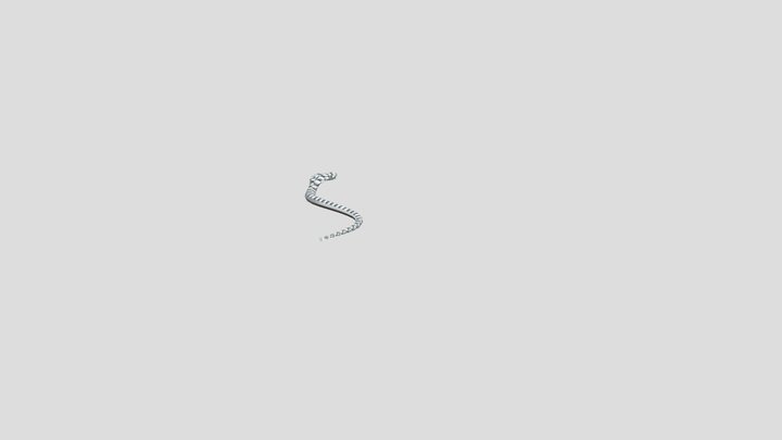 Snake Cobra (Head Up) Animated 3D Model