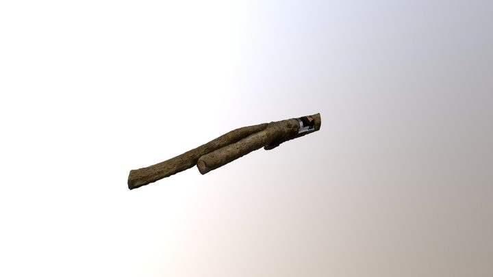 New Qlone 3D Model