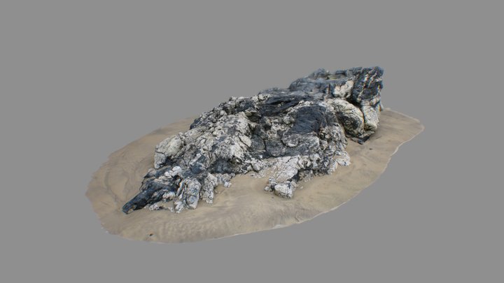 Beach rock 3D Model