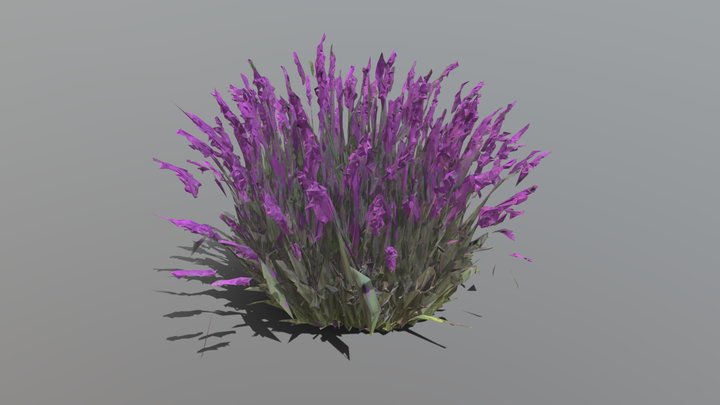 Purple_Millet_Grass_fbx 3D Model