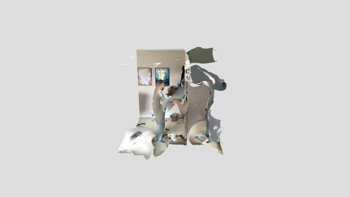 Polycam capture 3D Model