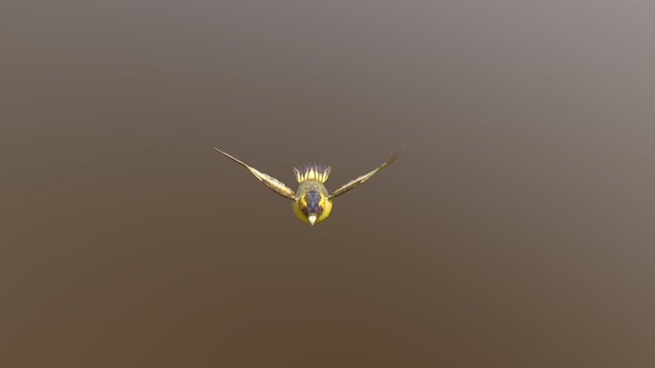 Bird fly 3D Model