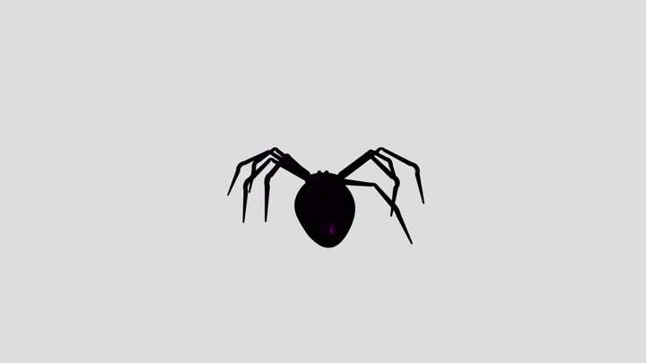 Spider 3D Model