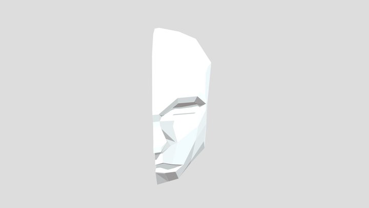 Polyface 3D Model