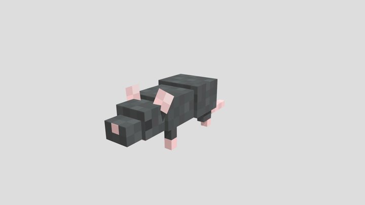Rat 3D Model