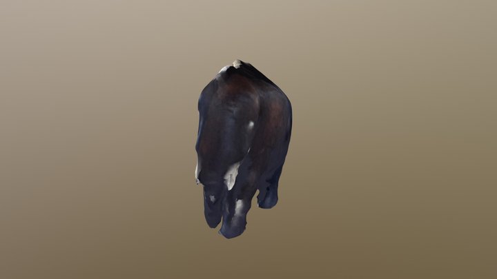 test 3D Model