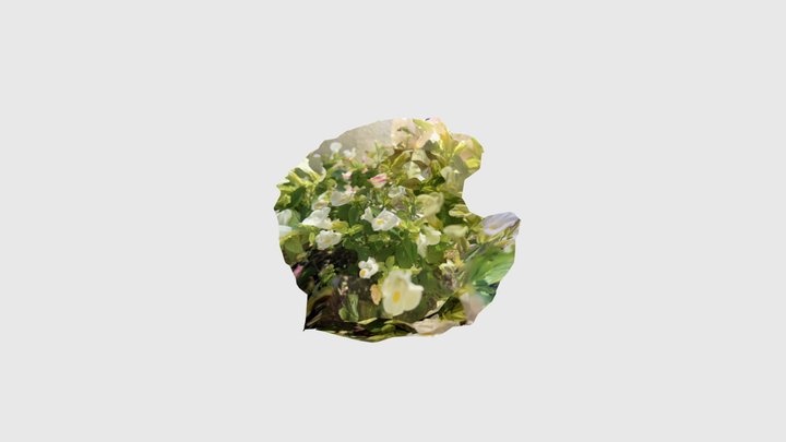 道に咲いてる花 3D Model