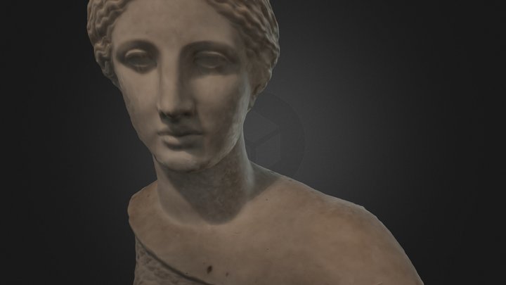 Testa di Afrodite 3D Model