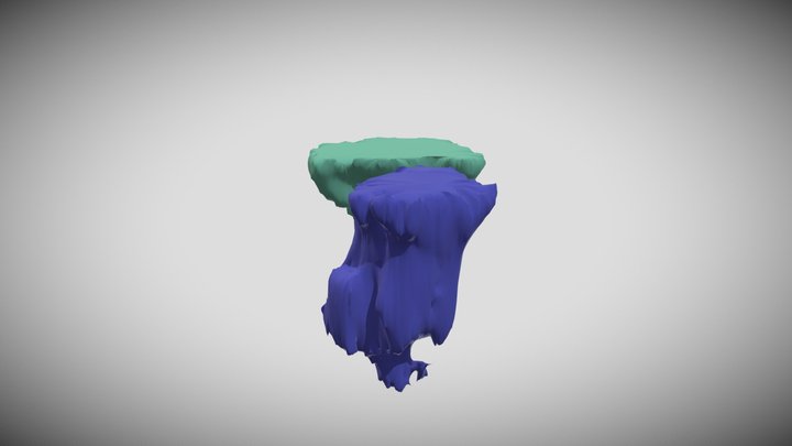 Bladder and Rectum from Ultrasound Dataset 3D Model