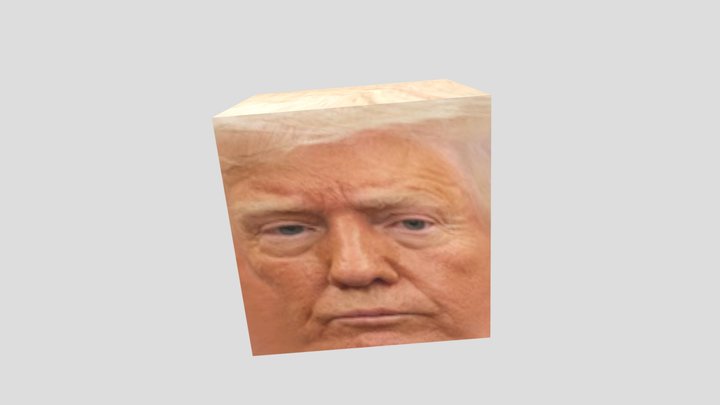 Square Trump 3D Model