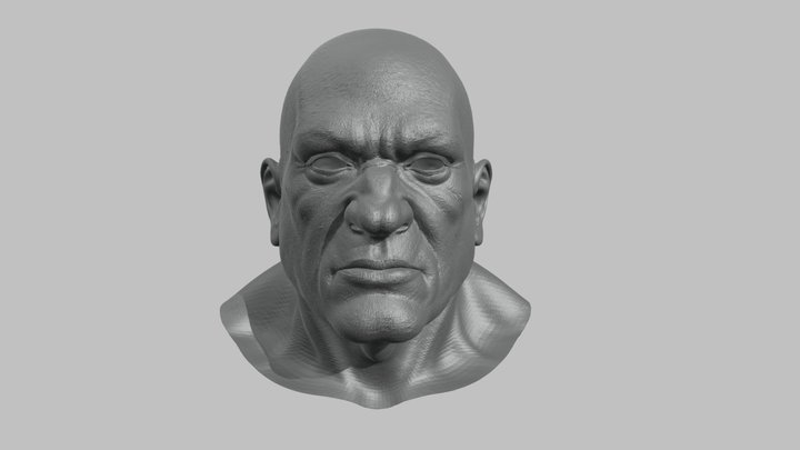 Dwarf Head 3d Model 3D Model