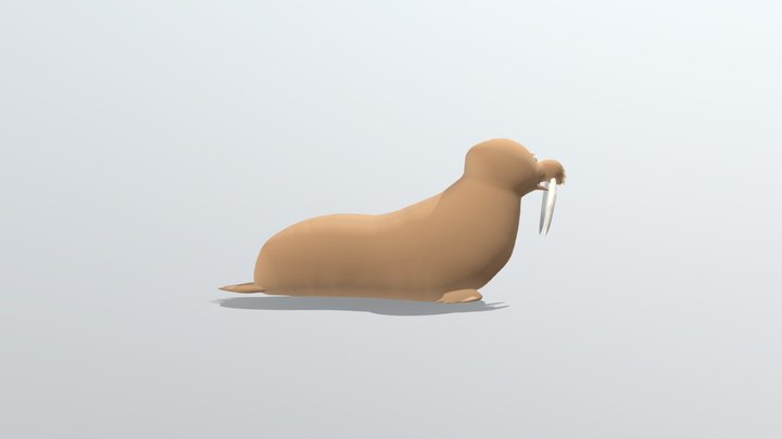 Walrus