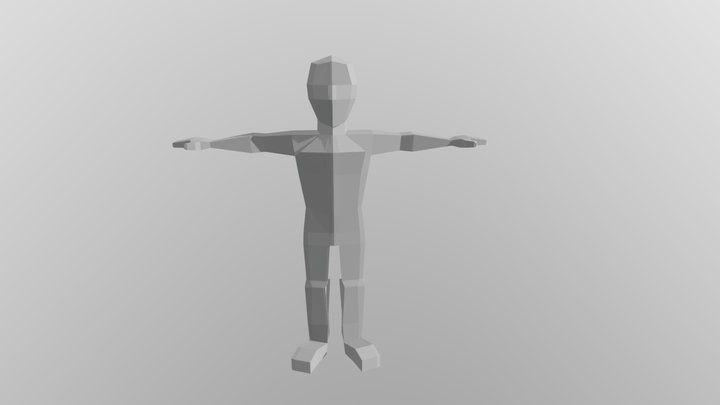 Fully Rigged Low Poly Character