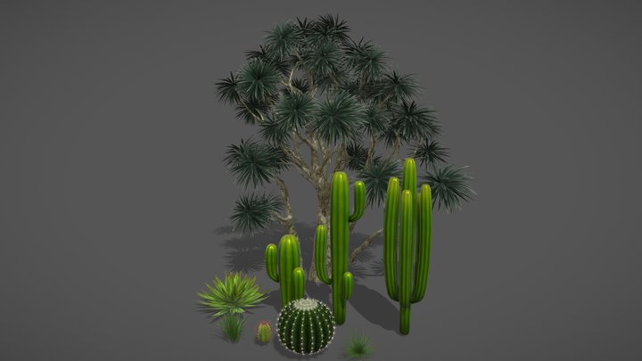 desert plant 3D Model