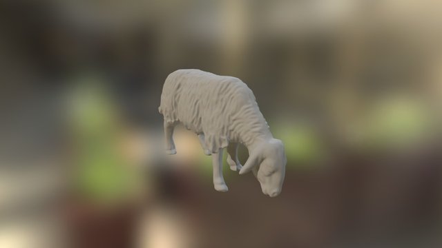 Oveja- Pastando 3D Model