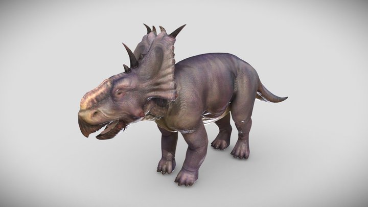 Pachyrhinosaurus 3D Model