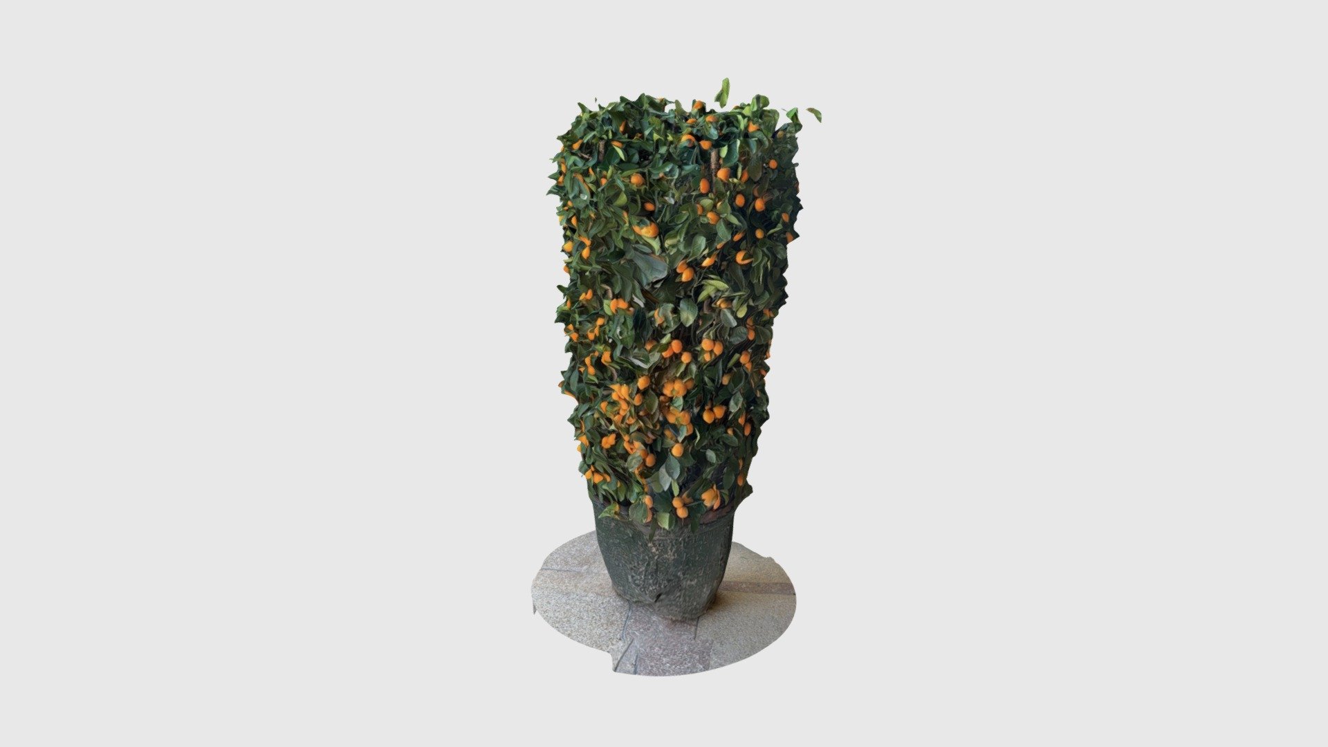 Chinese orange - Download Free 3D model by cuiyamim [c530d37] - Sketchfab