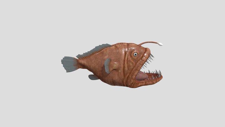 Ikan Sungut (Angler Fish) 3D Model