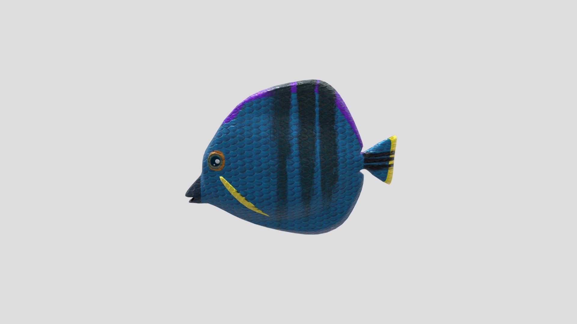 Fish