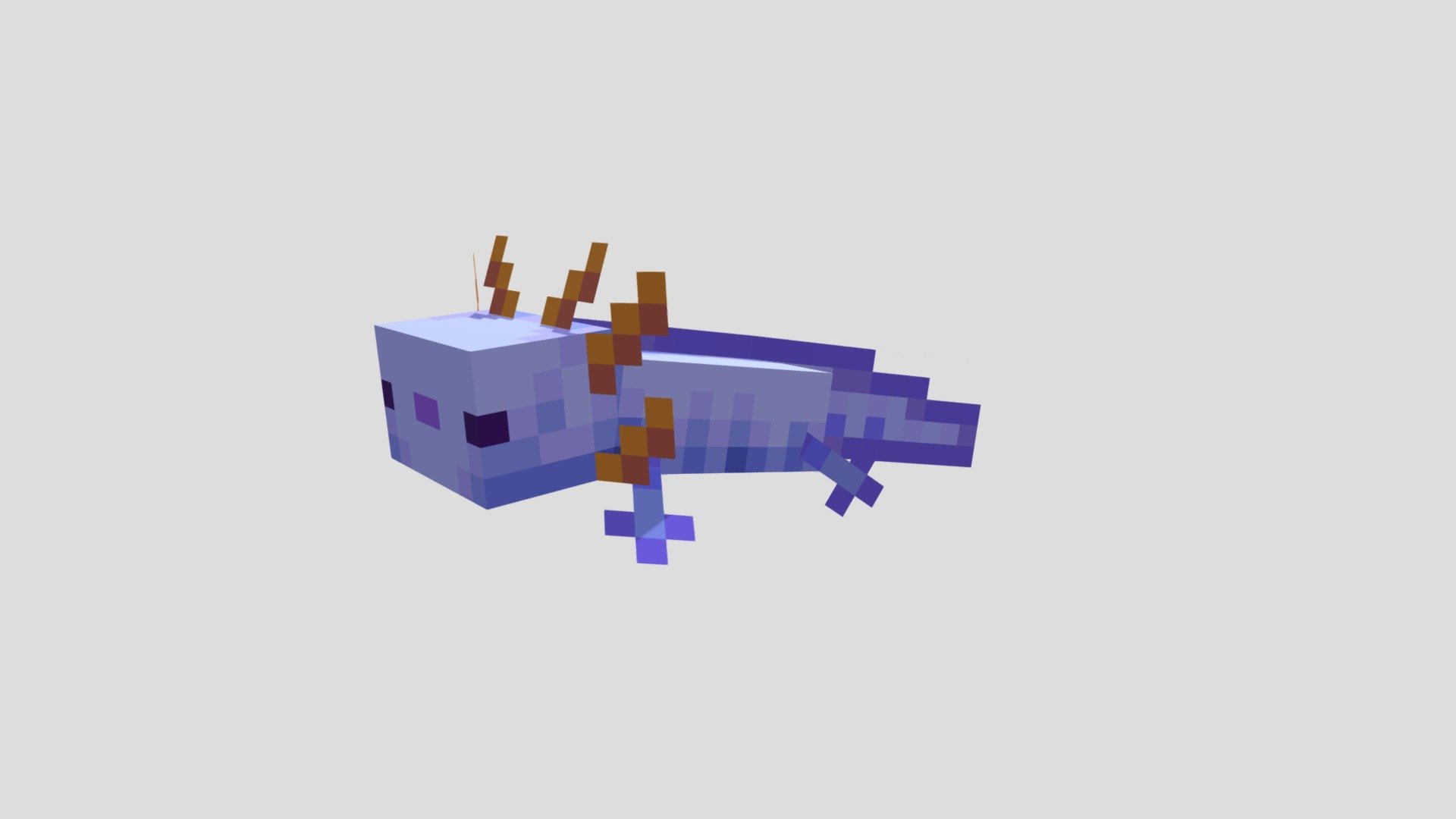 blue axolotl - Download Free 3D model by JohnElkes (@JohnElkes) [c536ed9]