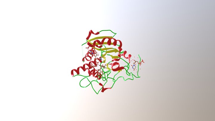 101B ABO Blood Glycosyltransferases Cartoon 3D Model