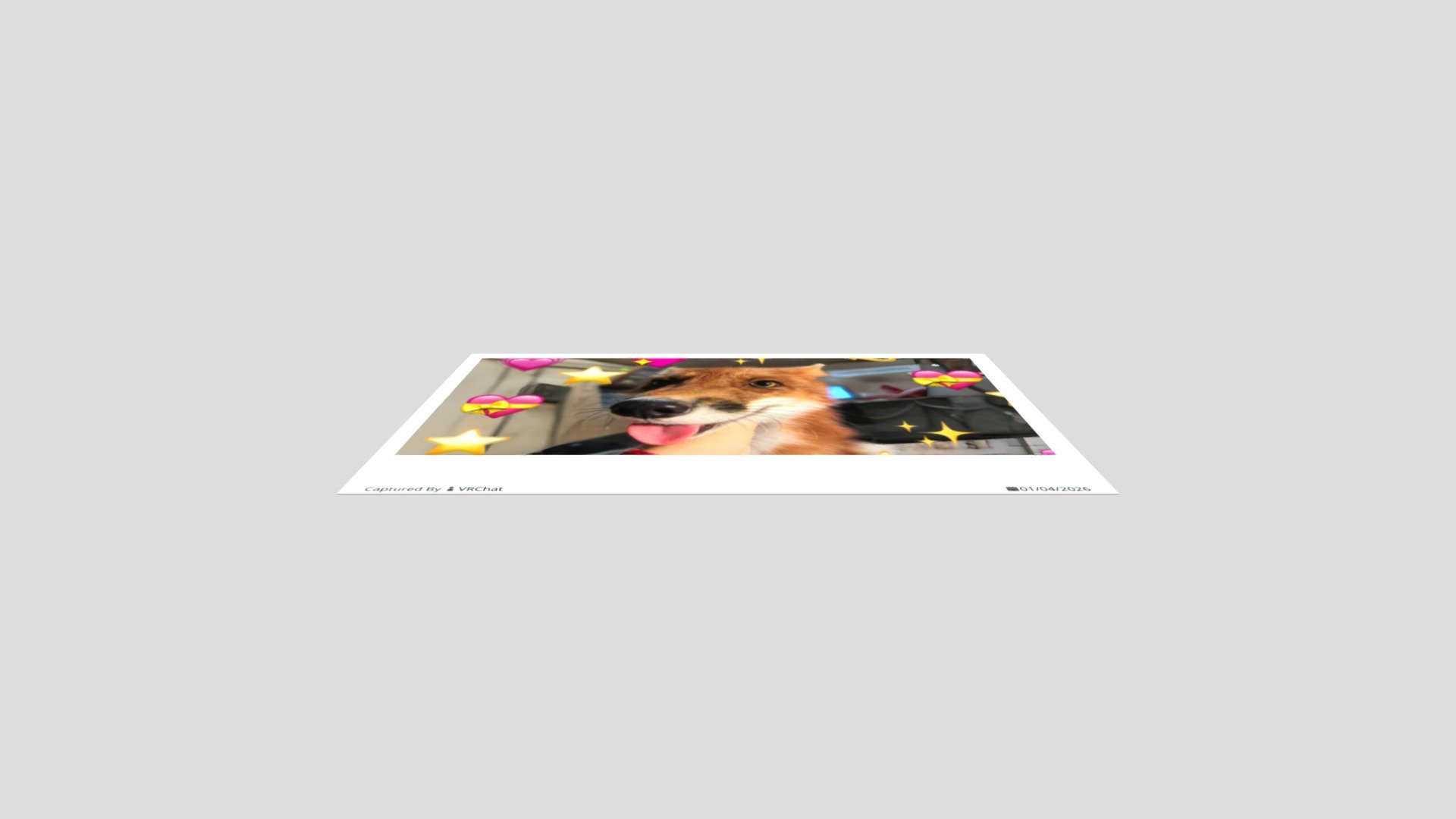 Fake Prints VRChat Asset - 3D model by tonicc [c539c1c] - Sketchfab