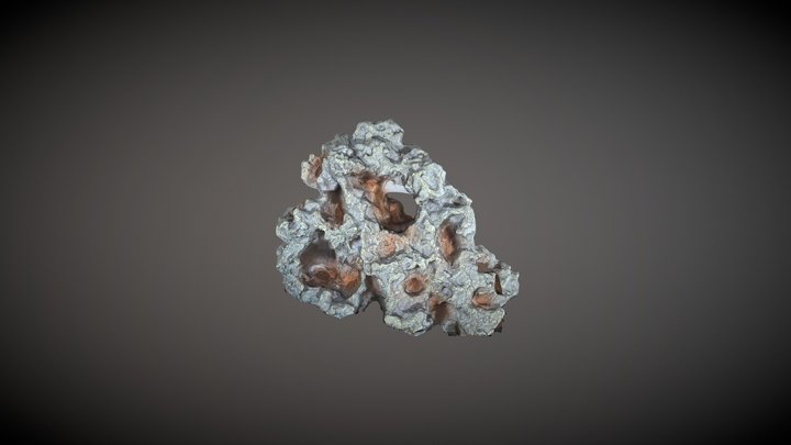Faux_coral_1 3D Model