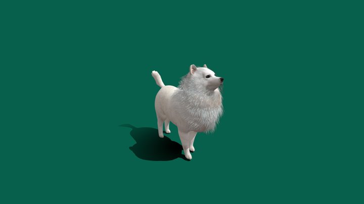 Dogs 3D models - Sketchfab