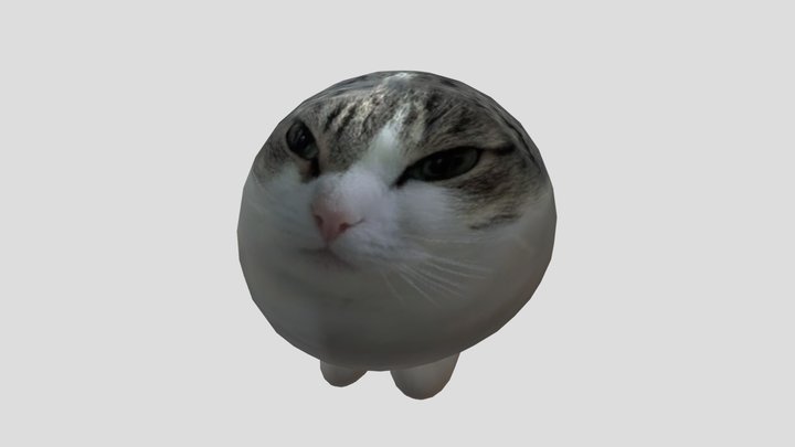 CAT 3D Model