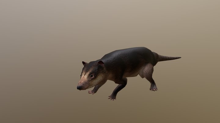 Didelphodon – Free 3D Model STL