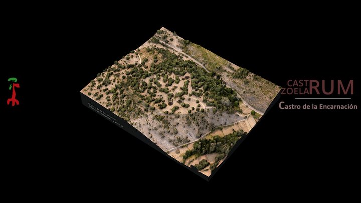 Castro de la Encarnación 3D Model