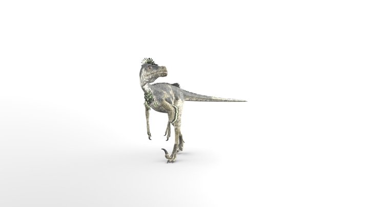 Dinoraul's Velociraptor Mongoliensis Accurate – Kostenloses 3D-Modell STL