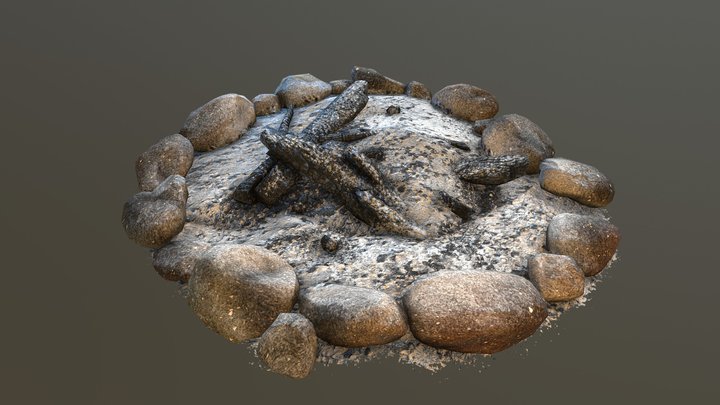 Campfire 3D Model