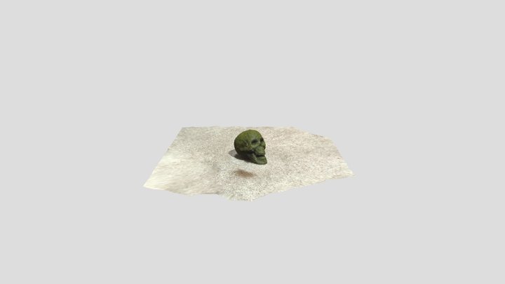 Mossy Skull 3D Model
