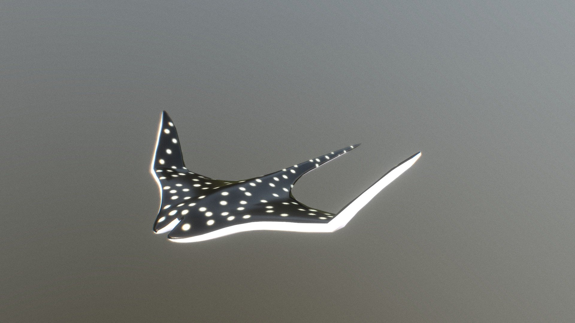 Batoidea (animated)