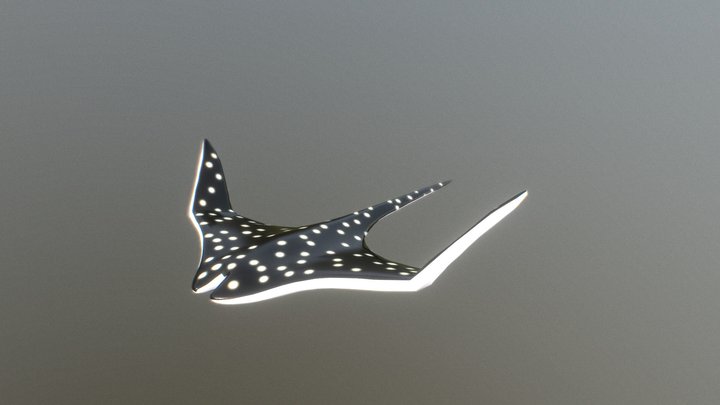 Batoidea (animated) 3D Model