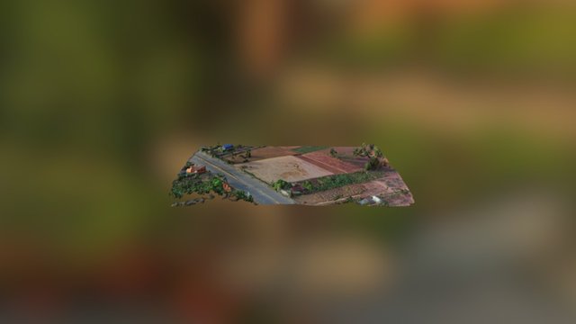 My Land In Phichit 3D Model
