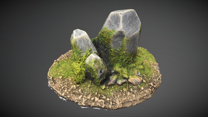 Rocky terrain 3D Model