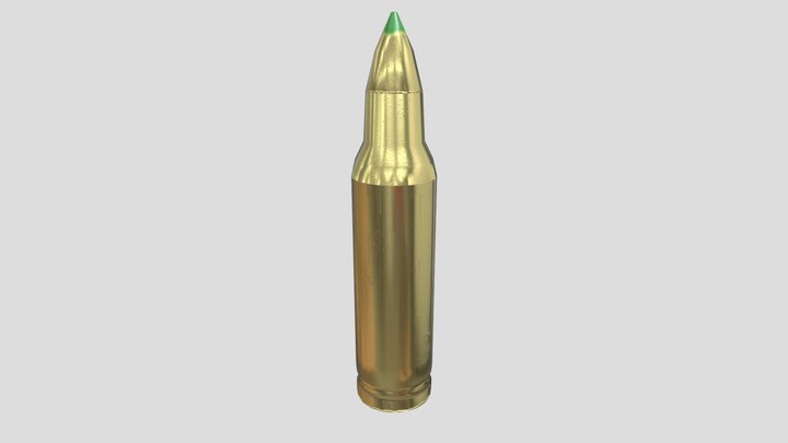 M855 3D Model