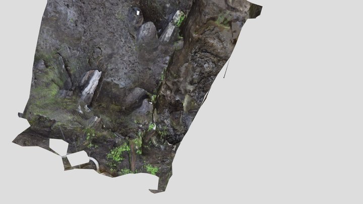Particolare scavo archeologico Lago Lucone 3D Model