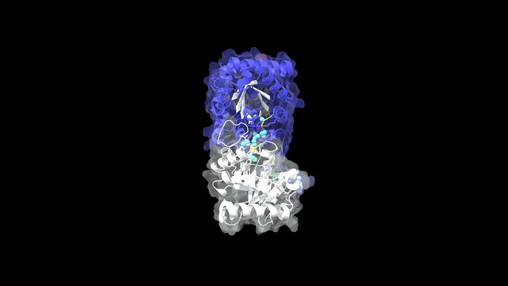 Human Triosephosphate Isomerase with DHAP bound - 3D model by ...