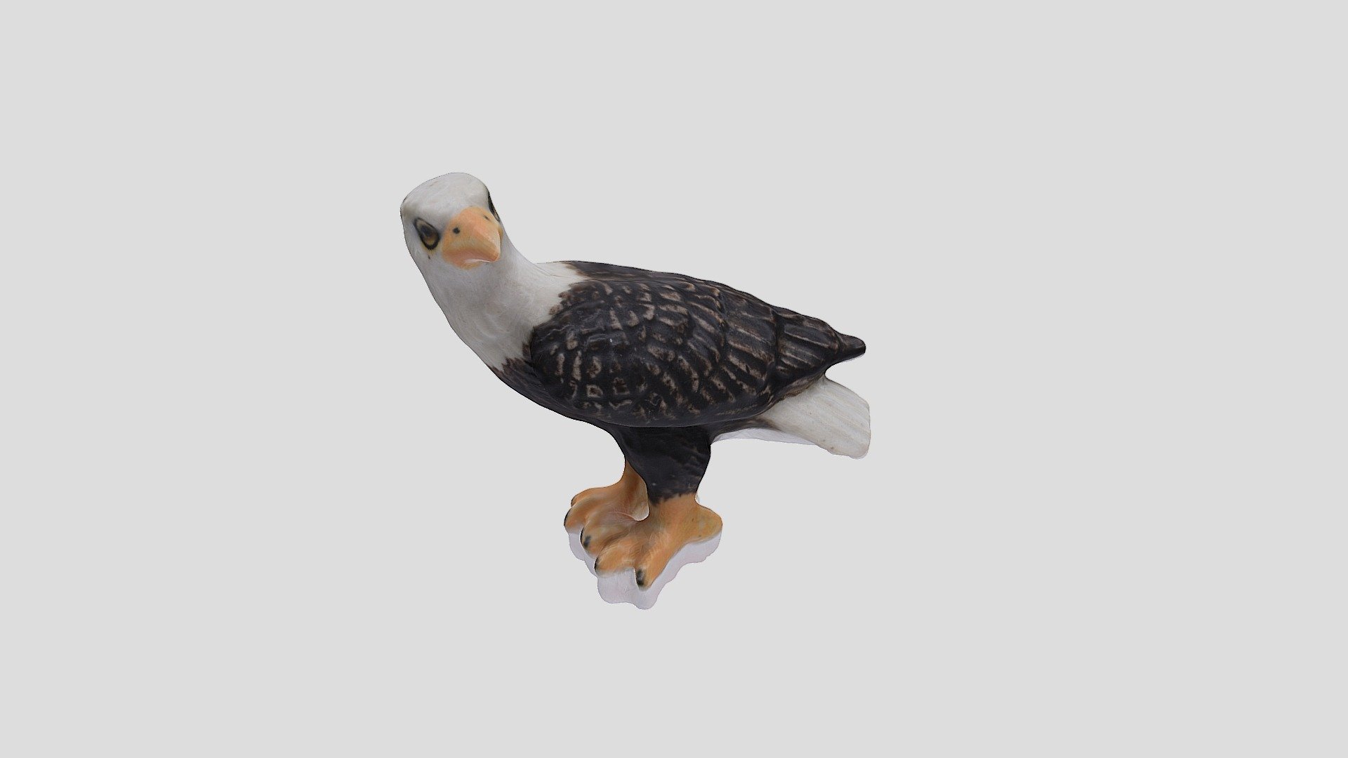 Tiny Eagle