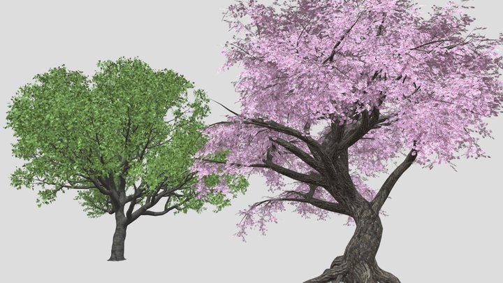 Trees-02 3D Model