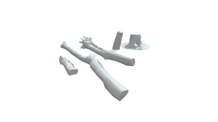 Low Poly Trunks 3D Model