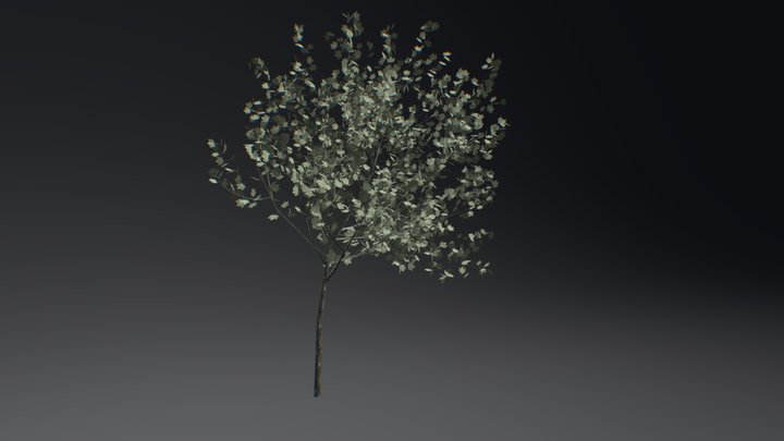 Tree – Free 3D Model STL