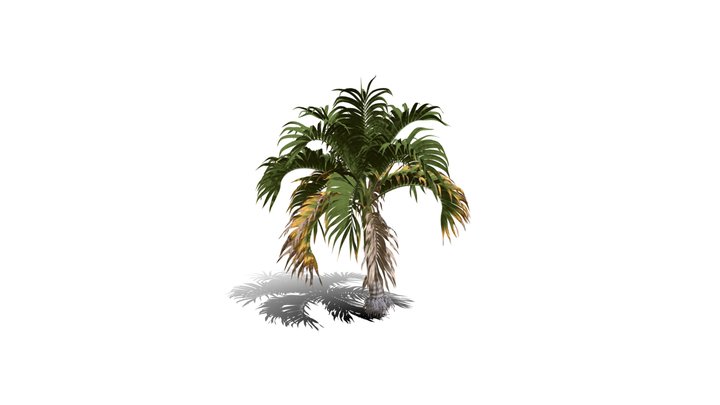 Realistic HD Christmas palm (11/35) 3D Model