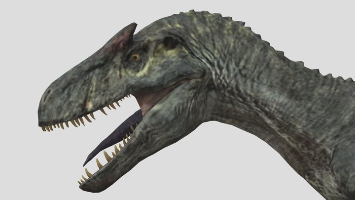 Juvenile Allosaurus – Modèle 3D gratuit STL